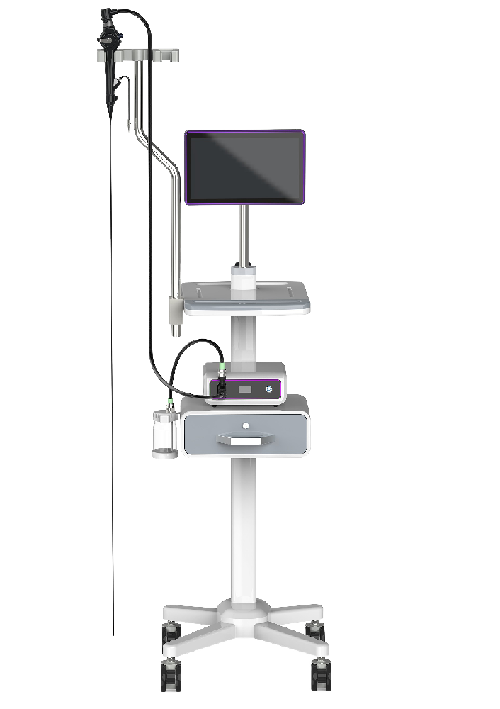 电子上消化道插管用内窥镜